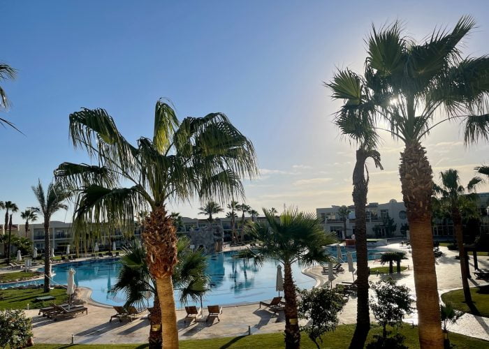a large swimming pool surrounded by palm trees