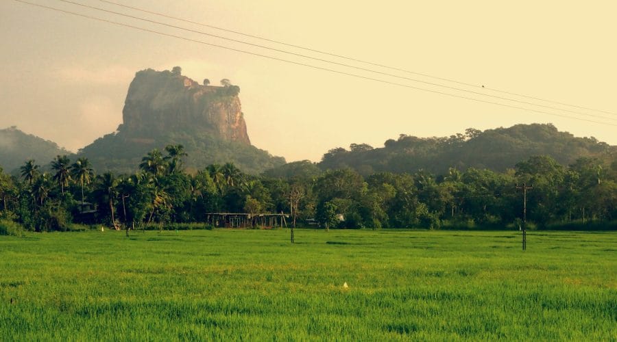 Photo by Tom Nicholson green grass field near mountain during daytime